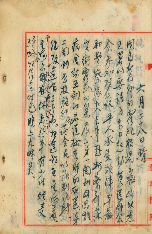 whj0300961946